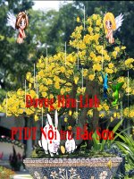 hệ trức lượng trong tam giác vuông