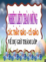 Tiết 25( có điều chỉnh)