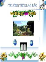 Sự hút nước và muối khoáng của rễ