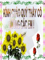 Bài 17- Hoàng Thị Diệu Trang