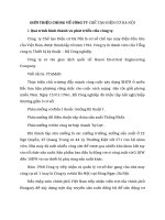 GIỚI THIỆU CHUNG VỀ CÔNG TY CHẾ TẠO ĐIỆN CƠ HÀ NỘI