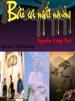 Bài ca ngất ngưởng (Nguyễn Công Trứ).