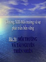 Bài 56: MÔI TRƯỜNG VÀ TÀI NGUYÊN THIÊN NHIÊN