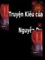 Truyện Kiều- Nguyễn Du