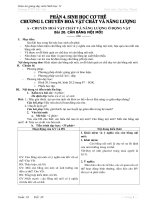 bai20.can bang noi moi.doc