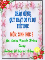 Bài giảng hoat dong ho hấp