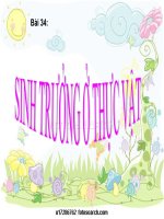 Bai 34 sinh truong o thuc vat