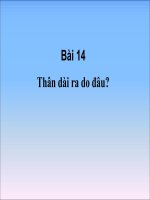 Bai 14_Than dai ra do dau