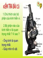 cau tao te bao thuc vat