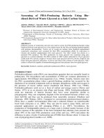 Screening of PHA-Producing Bacteria Using Biodiesel- Derived Waste Glycerol as a Sole Carbon Source