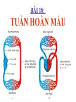 bai 18 tuan hoan mau