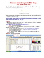 Cách xóa fame trắng trong Aleo