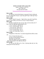Đề ôn tập kiến thức Tiếng việt giáo viên - tháng 11