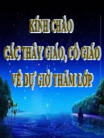 Bai 5: Yeu thuong con nguoi (Tiet 2)