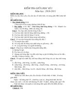 ĐỀ KT GHKI TV LỚP 3