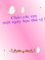 Tiết 11: Lịch sự, tế nhị