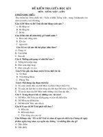 DE KIEM TRA GIUA HKI