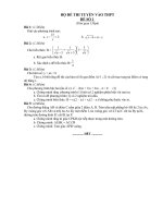 DE TOAN THI TUYEN THPT 2009