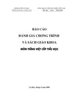 BÁOCÁOĐÁNHGIÁCHƯƠNGTRÌNHVÀSÁCHGIÁOKHOAMÔNTIẾNGVIỆTCẤPTIỂUHỌC.doc