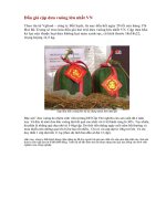 DƯA HẤU VUÔNG Ở VN.