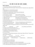 BT DL Culong va Dien Truong