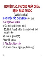 nguyên tắc và phương pháp chữa bệnh bằng thuốc