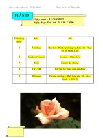 giao an lớp 3 tuần 10 thứ 4,5,6