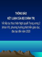 Chính trị hè 2009 bài 3