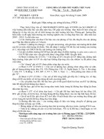 HD Mau bao cao dau nam