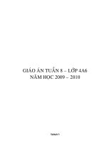 GA tuần 8 lớp 4