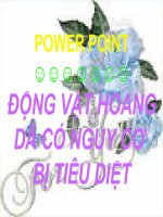 Vai trò của động vật trong thế giới tự nhiên