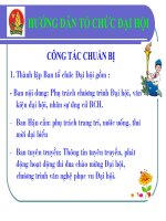 chương trình đại hội liên đội