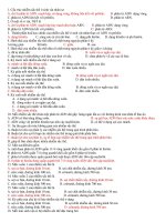 NST VÀ ĐỘT BIẾN NST (BÀI TẬP)