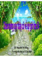 Một chuyên gia máy xúc