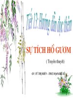 TIẾT 13: SỰ TÍCH HỒ GƯƠM