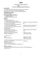 Giao an lop 5 Tuan 1