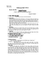 Bài 26- Tiết 108: Thuế máu