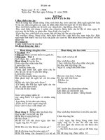 GIÁO ÁN L2 Tuan 10