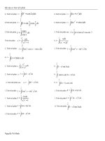 bài tập cơ bản tíhc phân