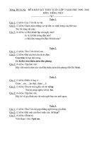 Đề KS theo tuần môn TV lớp 3 năm học 2009-2010