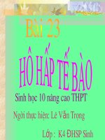 ho hap tẻ bao sinh hoc