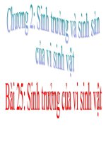 bài  25: sinh truong cua vi sinh vat