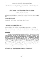 Water Treatment Technology Using Carbonaceous Materials Produced from Vegetable Biomass