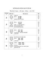 Tuần 22 lớp 1 SN