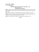 DE THI THU MON LSU 10