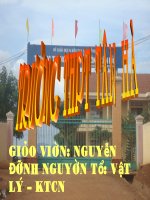 lực đàn hồi ( cực hay)