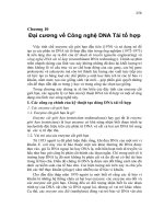 10 CONG NGHE ADN TAI TO HOP 