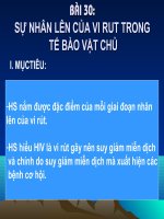 BÀI 30: SỰ NHÂN LÊN CỦA VI RUT TRONG TẾ BÀO VẬT CHỦ