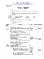 Giáo án English 11 (NC) - HK1