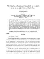 Mối liên hệ giữa trách nhiệm hình sự và hình  phạt trọng luật Hình sự Việt Nam